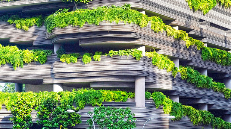 Green plants on grey building