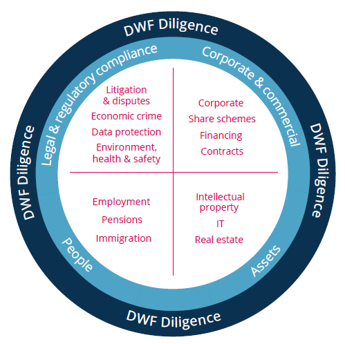 DWF Due Diligence