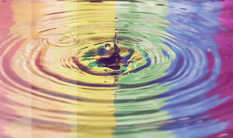 0012 Diversity WT 768 x455