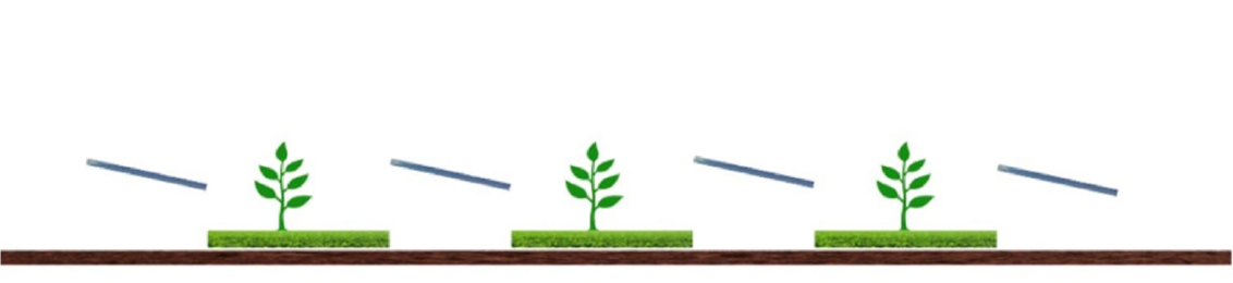 Energy Focus Agrivoltaic Plants Guidelines 2