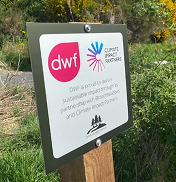 DWF Forest Sign