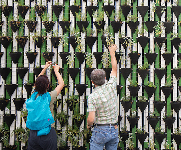 People with plant pots