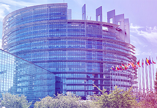 small panel european parliament