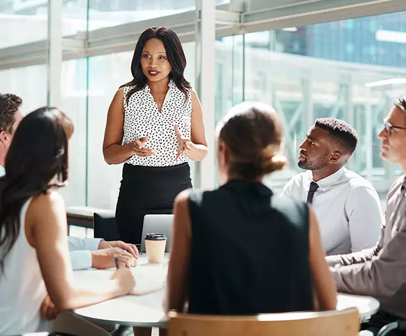 0738 Presenting at meeting PPT Wide